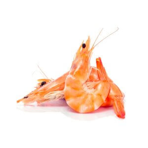 Морепродукты